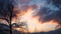 ÃÂ¡olored clouds and the trees without leaves at sunset